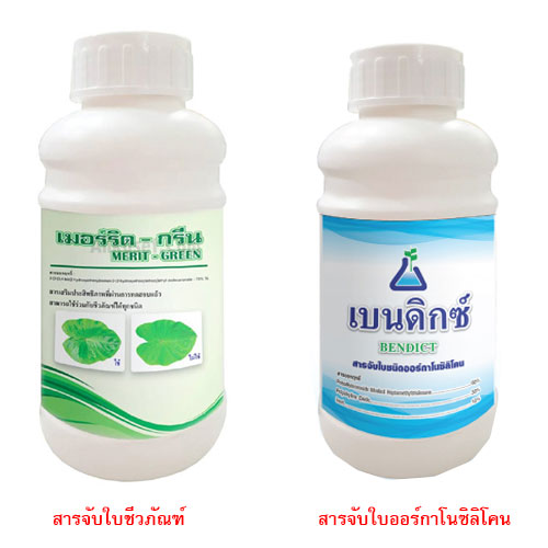 รูปสารจับใบ