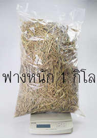 ฟางข้าว คลุมดิน