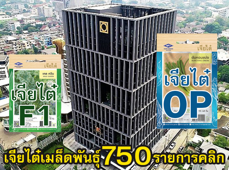 รูปเจียไต๋เมล็ดพันธุ์