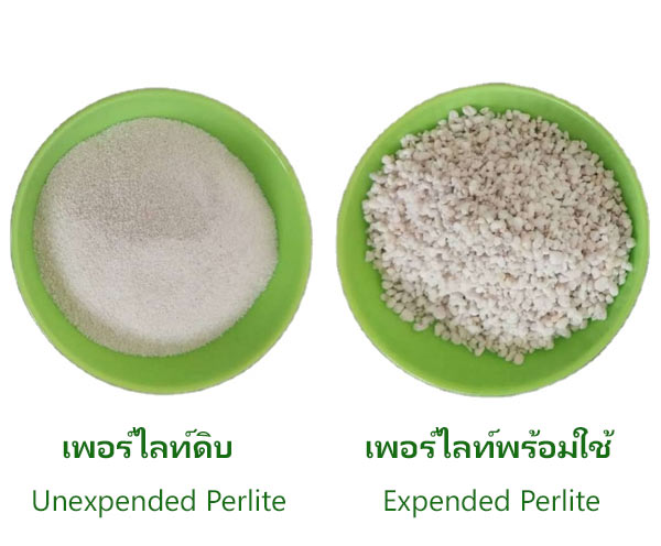 รูป เพอร์ไลท์ดิบ VS เพอร์ไลท์พร้อมใช้