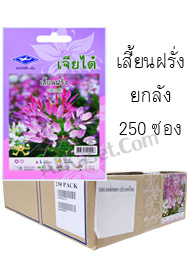 เสี้ยนฝรั่ง