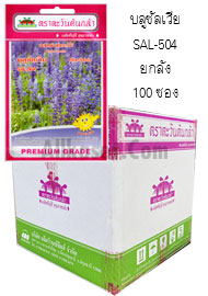 บลูซัลเวีย SAL-504