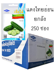 แตงไทยอ่อน