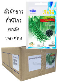 ถั่วฝักยาว ถั่วนิโกร