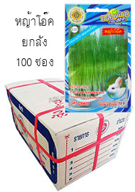 เมล็ดพันธุ์หญ้าโอ๊ค