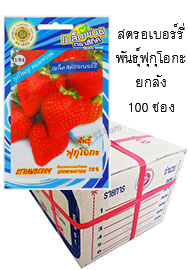 สตรอเบอร์รี่ ฟุกุโอกะ