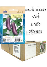 มะเขือม่วงลิง