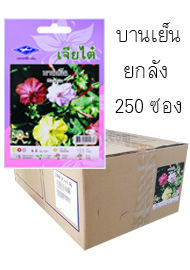 บานเย็น