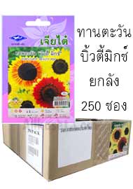 ทานตะวัน บิ้วตี้มิกซ์