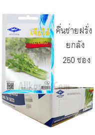 คื่นช่ายฝรั่ง