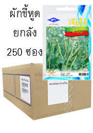 ผักขี้หูด