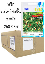 พริก กะเหรี่ยงสั้น