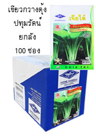 เขียวกวางตุ้ง ปทุมรัตน์