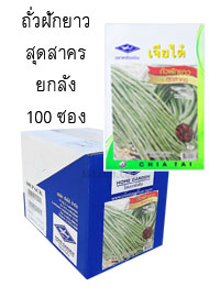 ถั่วฝักยาว สุดสาคร