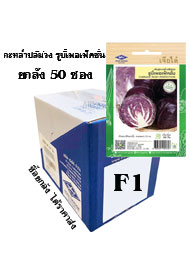 กะกล่ำปลี รูบี้เพอเฟ็ค