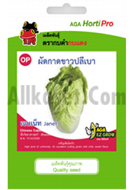 ผักกาดขาวปลีเบา เจนเน็ท
