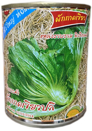 ผักกาดเขียว เขียวปลี