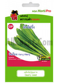 ผักชีฝรั่ง วังเวียง