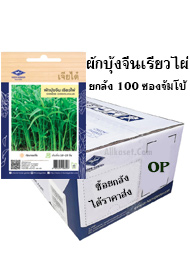 ผักบุ้งจีนเรียวไผ่ยกลัง