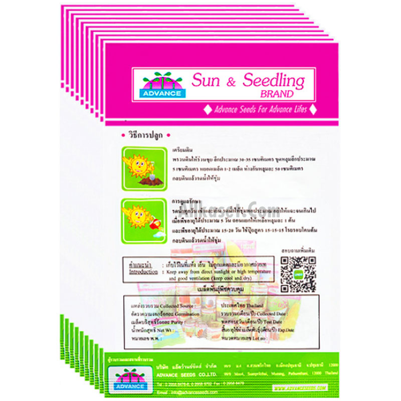 Бір қыз ауылдағы дәретханада зәр шығарады Мысық құмар