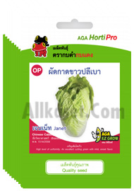 ผักกาดขาวปลีเบา เจนเน็ท