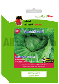 ผักกาดเขียวปลี หยกเพชร