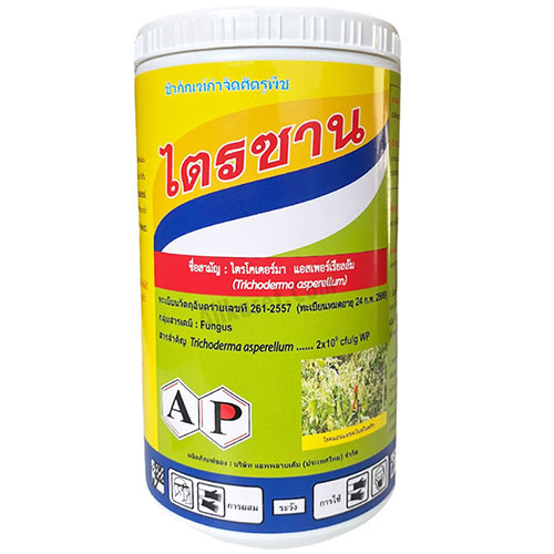 รูปไตรซาน
